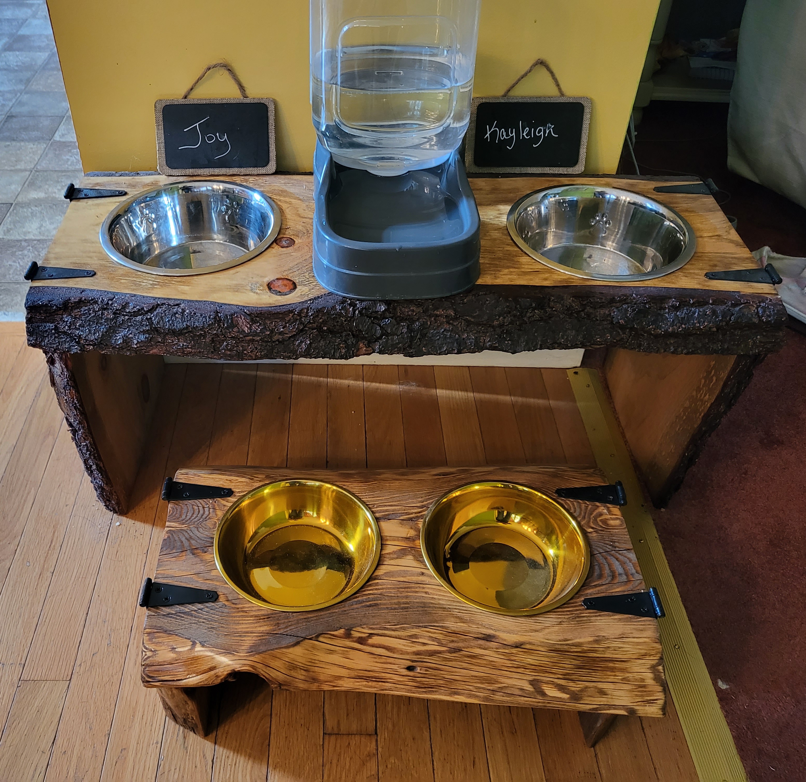 Custom Dog Feeding Stations